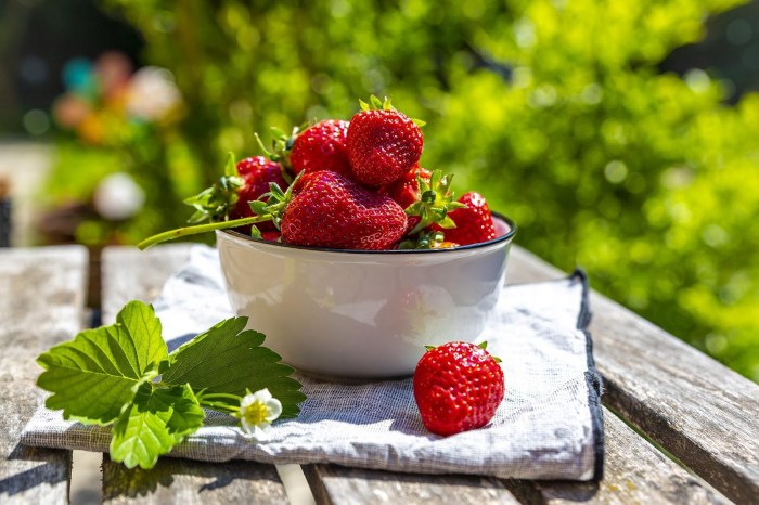 Do strawberry plants like a lot of water