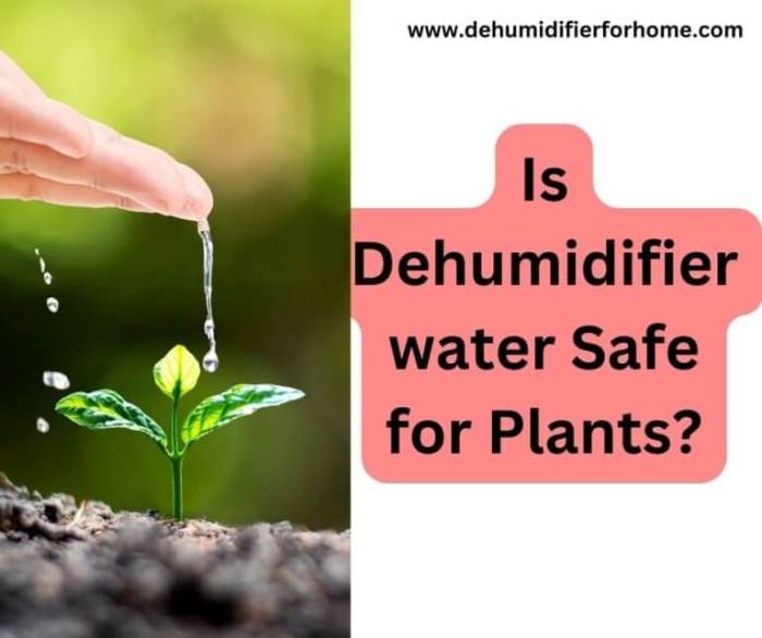 Can i water plants with dehumidifier water