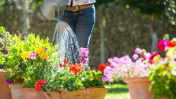 Watering