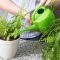 How Often to Water a Fern Plant