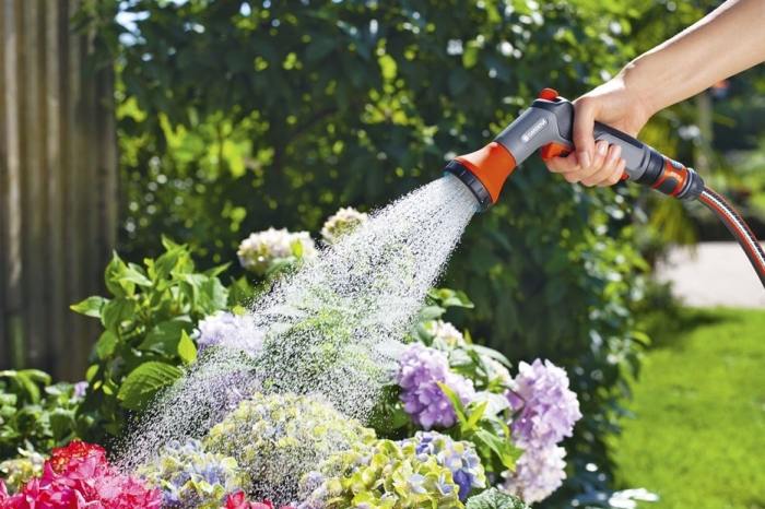 How often do you have to water plants