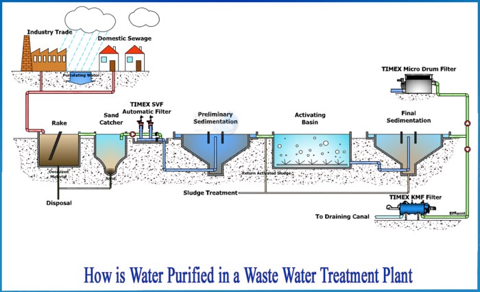 Can you water plants with purified water