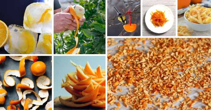 Is orange peel water good for plants