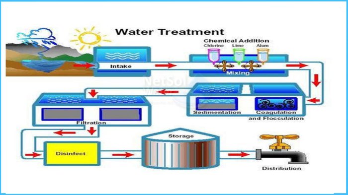 Will chlorinated water kill plants