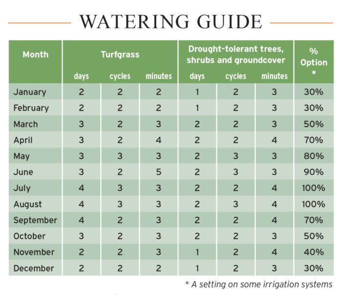 How long should you water plants for