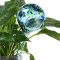 Do Water Globes Work for Outdoor Plants?