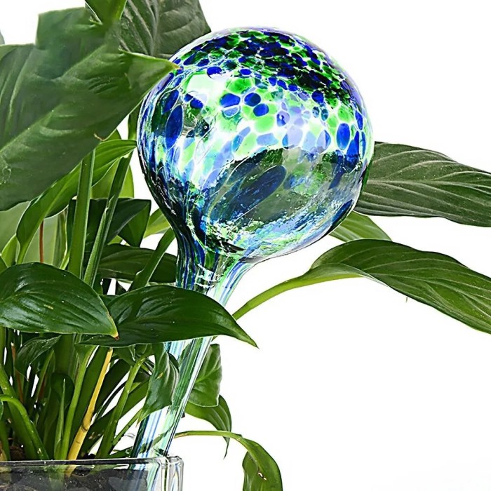 Do water globes work for outdoor plants