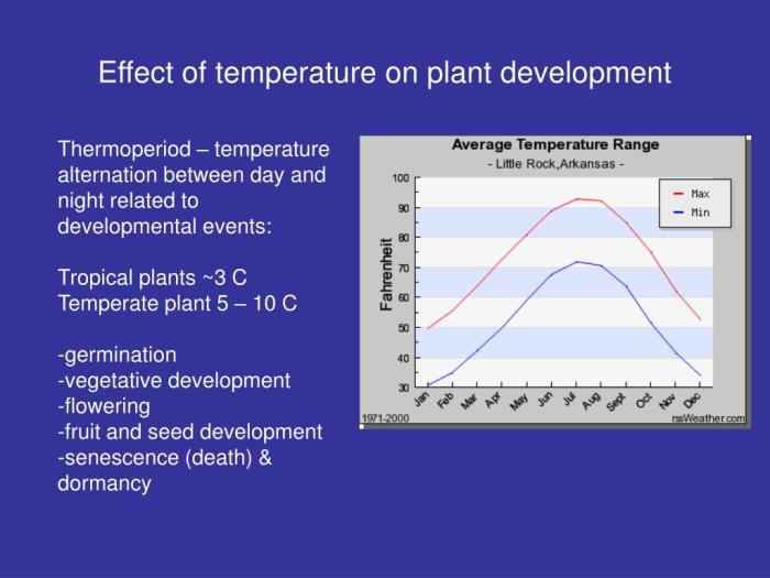 Does water temperature affect plant growth