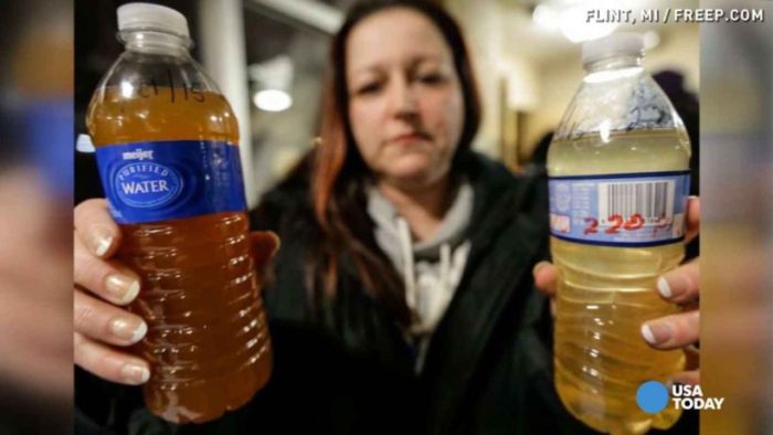 How did the flint water crisis affect plants