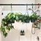 How Often Do You Water Hanging Plants?