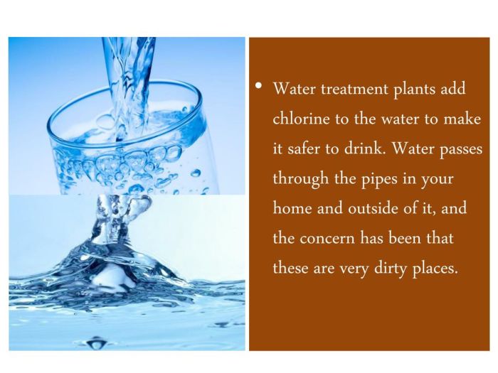 Will chlorinated water kill plants